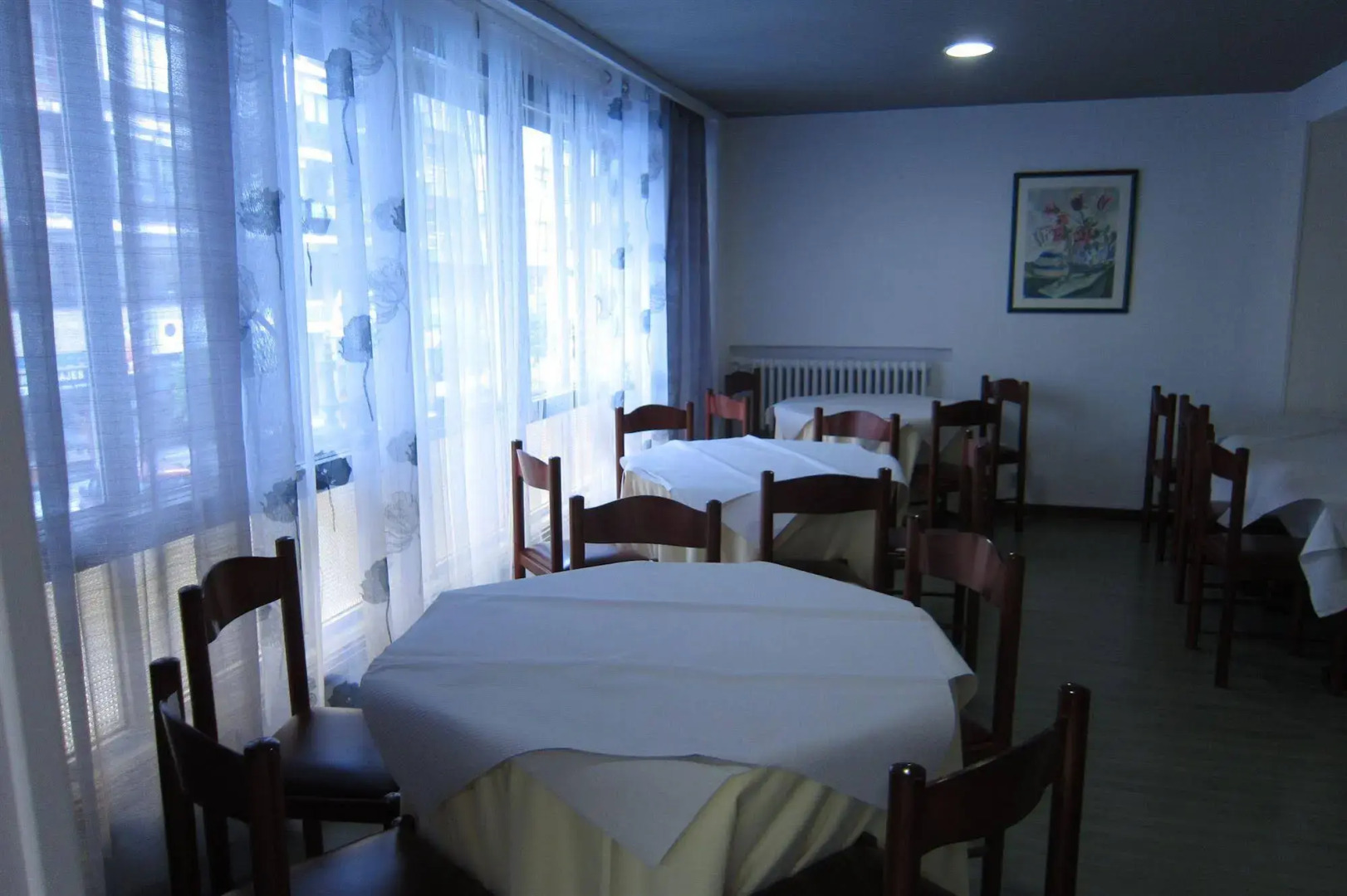 Acebos Azabache Gijón