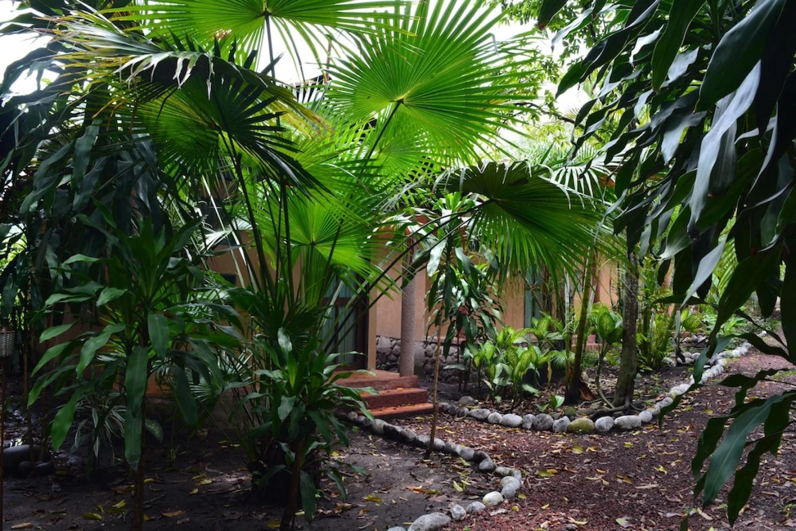 Río Aventura Expediciones