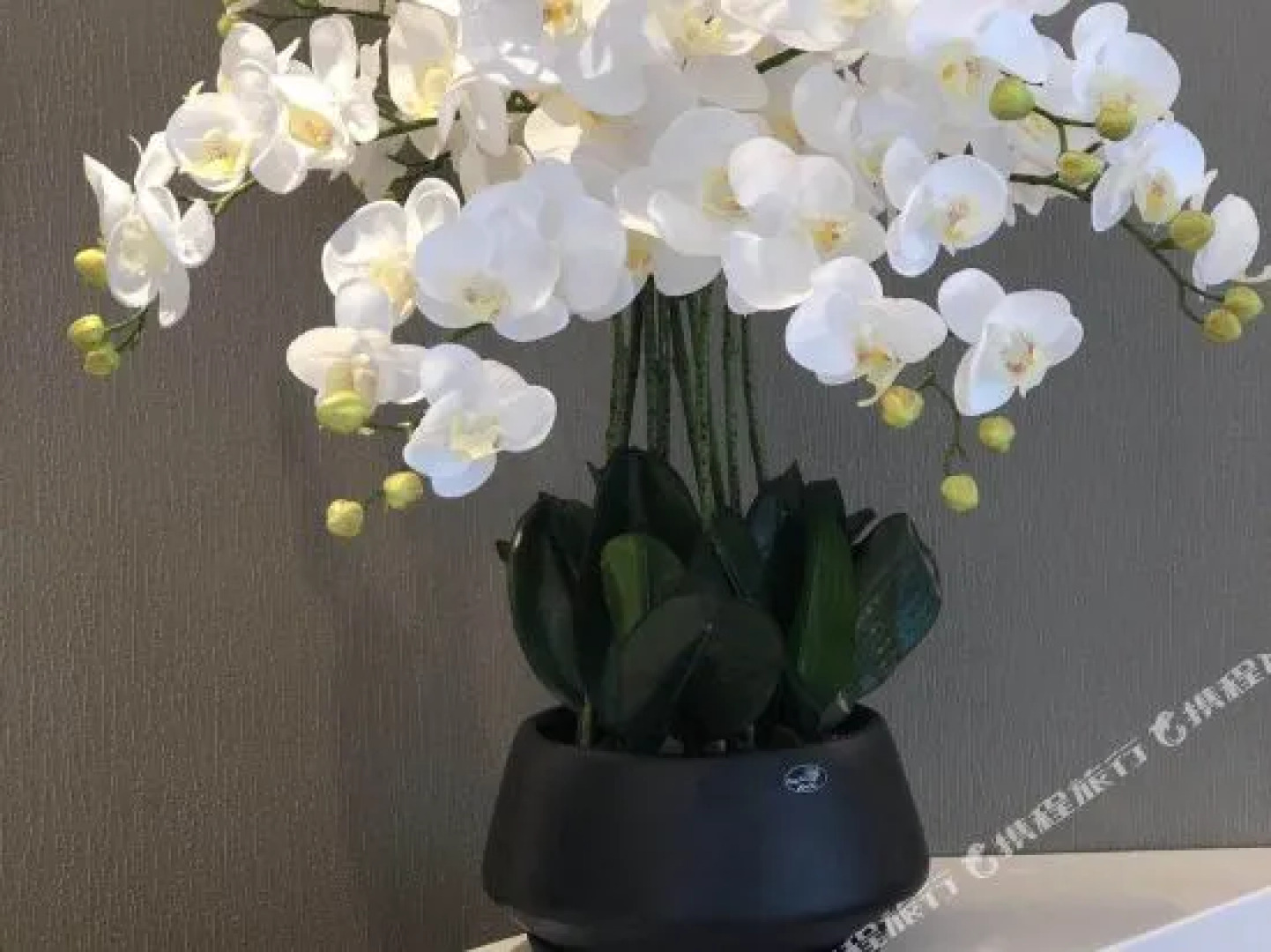 Xiamen Ruxiang Hotel