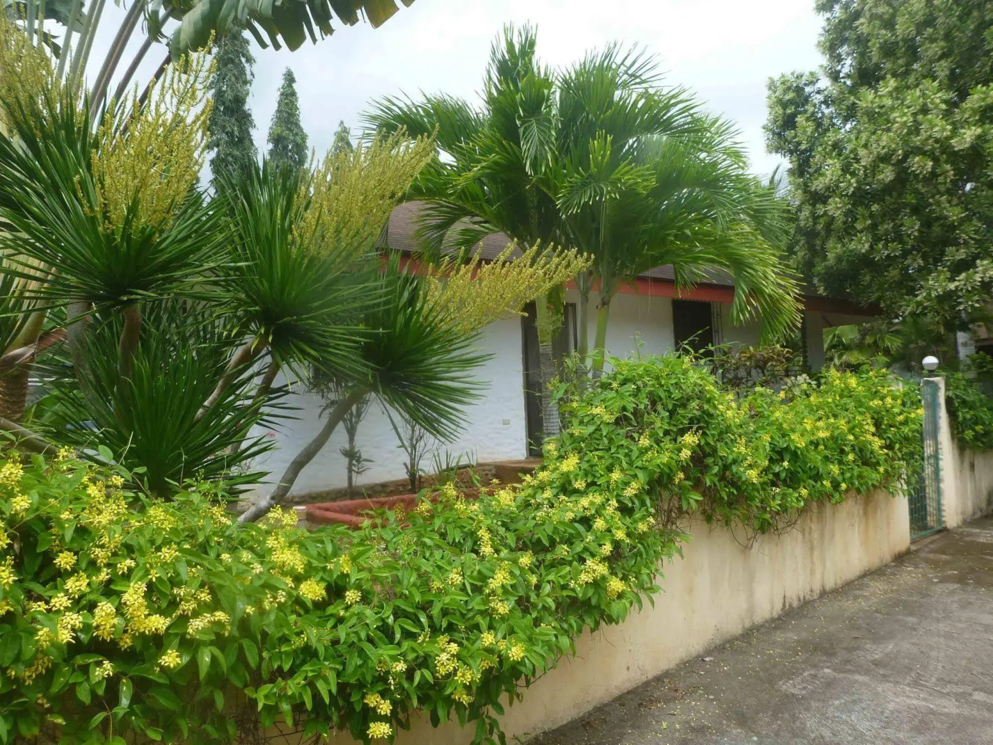 TipTop Hotel, Resto and Delishop