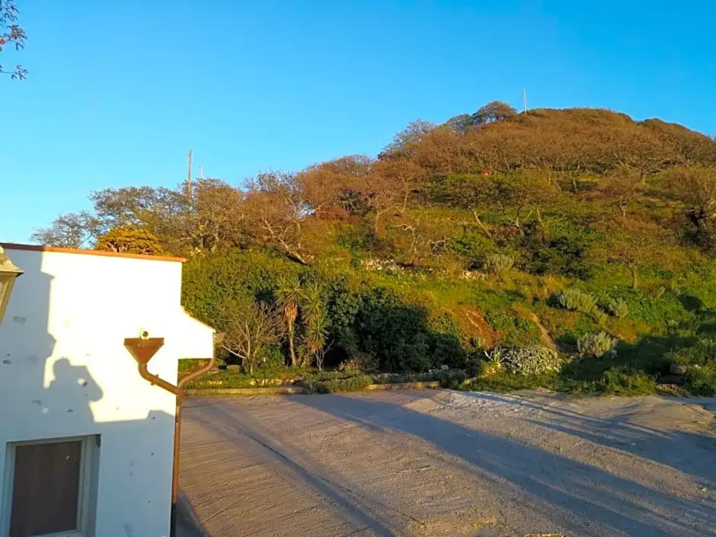 Bed and breakfast sas Damas