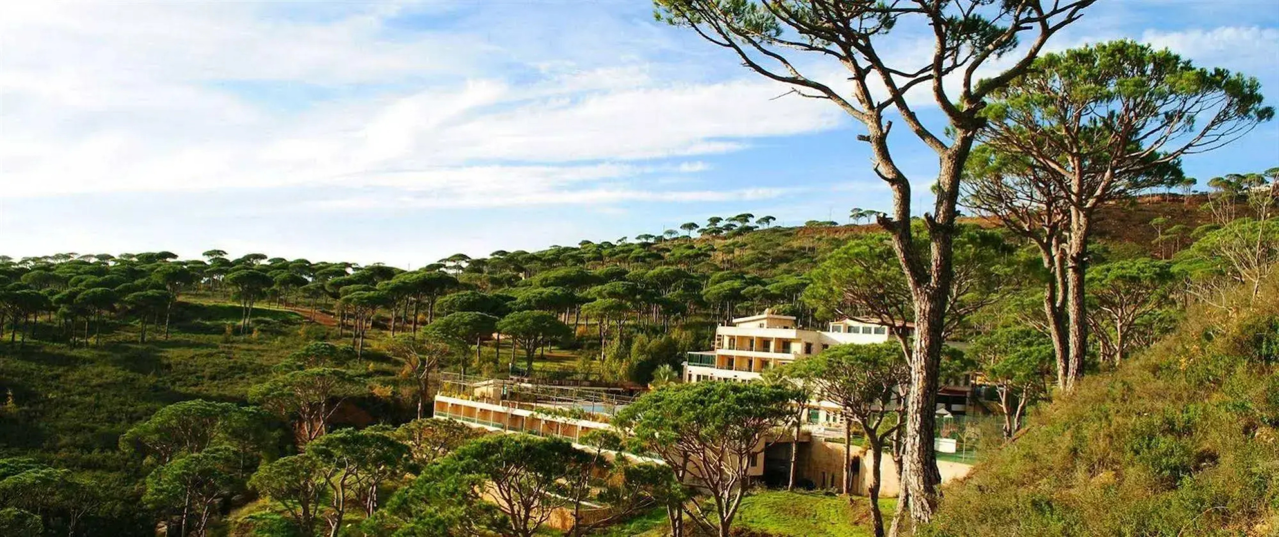 Pineland Hotel and Health Resort