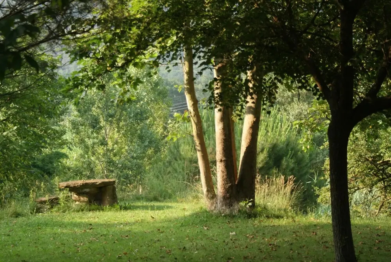 Casa Rural Mas Prat en Santa Margarita de Bianya