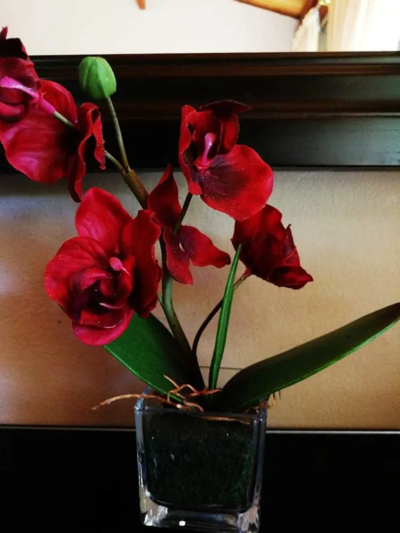 Willow Manor Brits Guest House