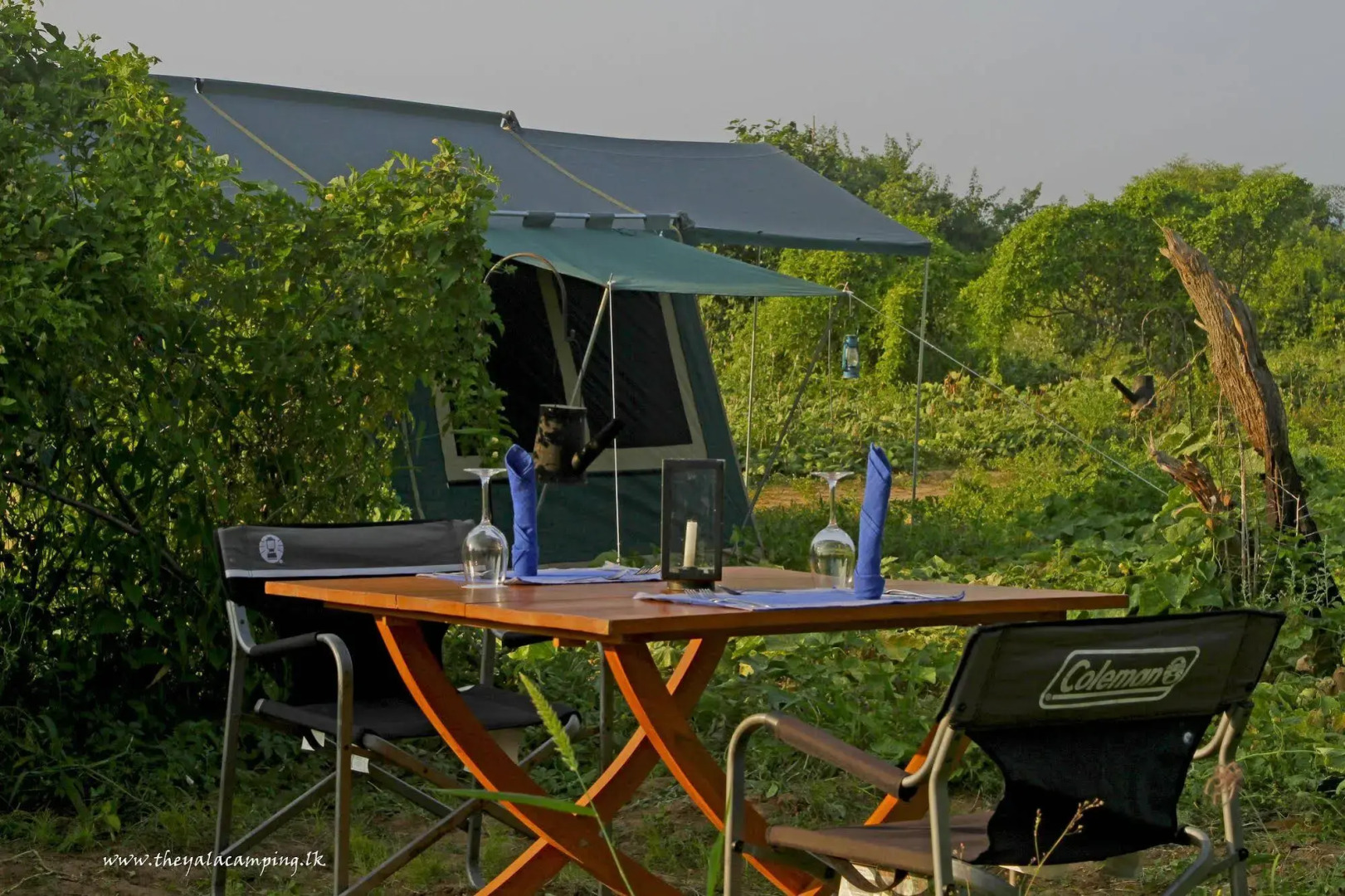 The Yala Camping