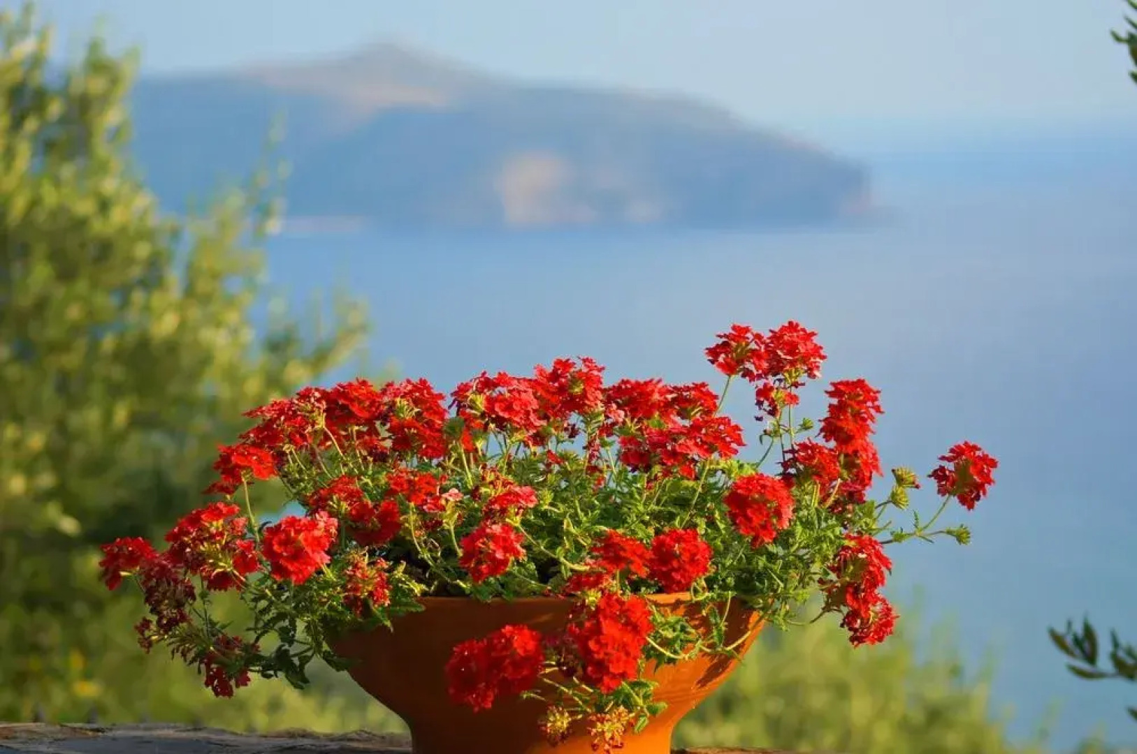 Residenza Golfo Degli Ulivi