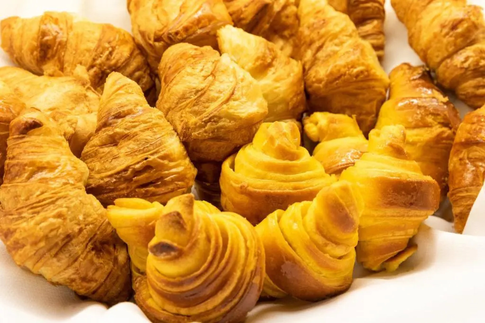 Hotel Black Tulip - Porto Gaia