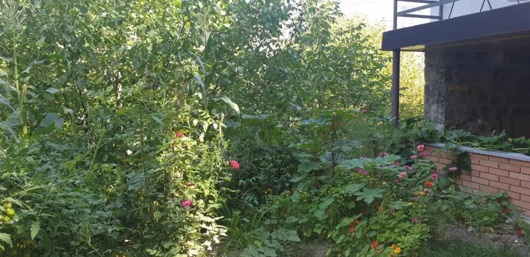 Hotel Vardzia Terrace