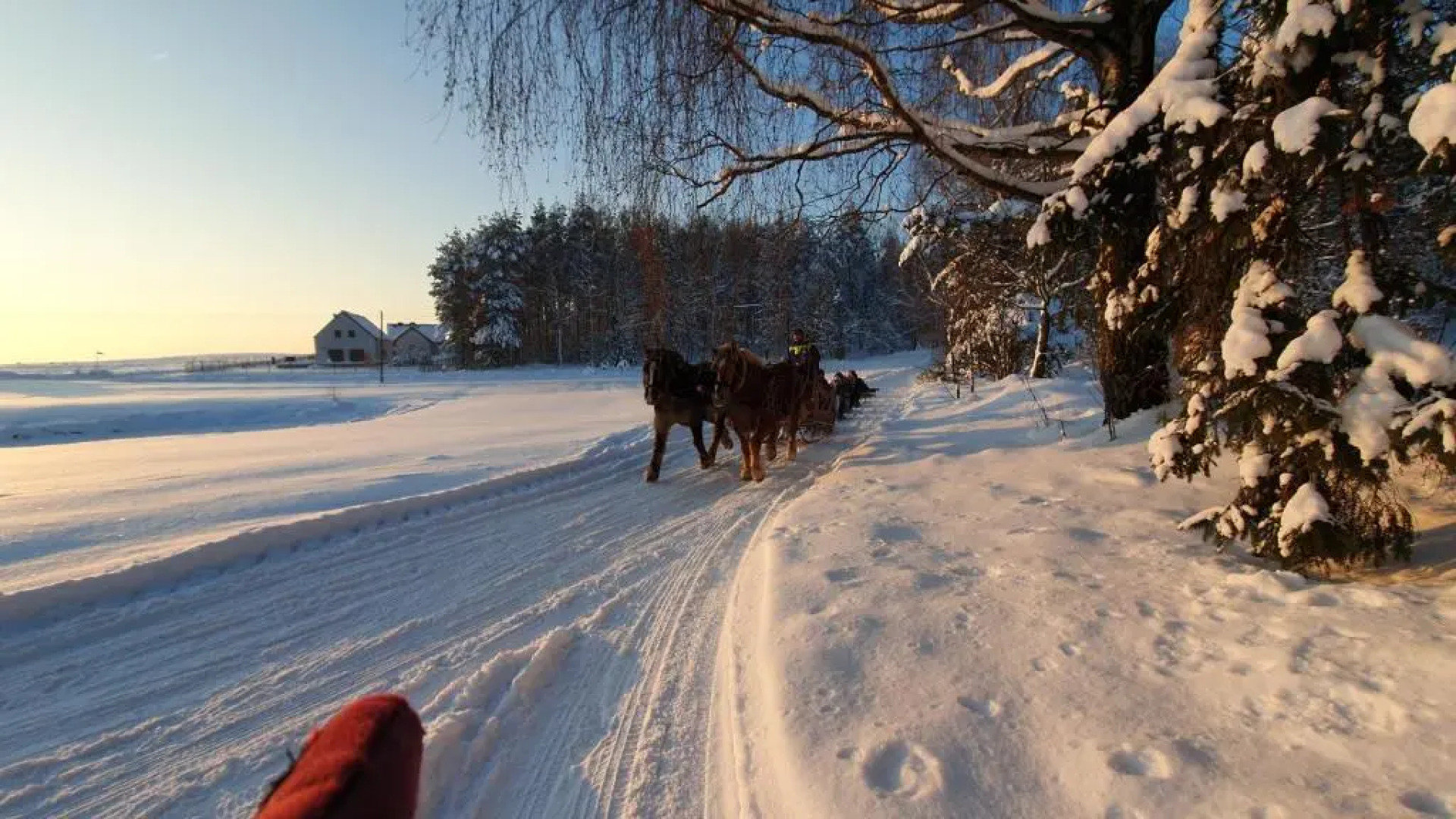 Apartamenty Wieżyca