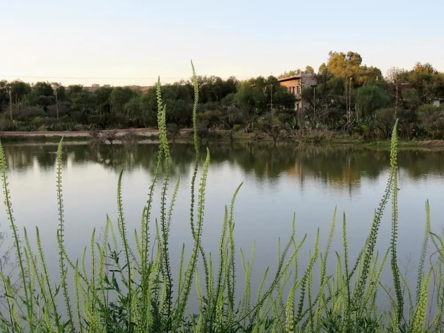 Hacienda Tovares Resort Ecuestre & Spa