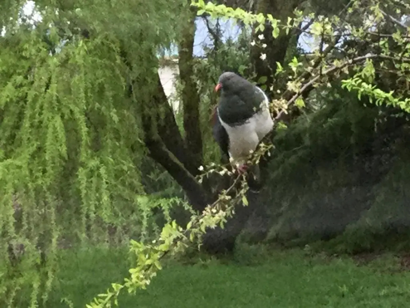 Stay in School by the Sea