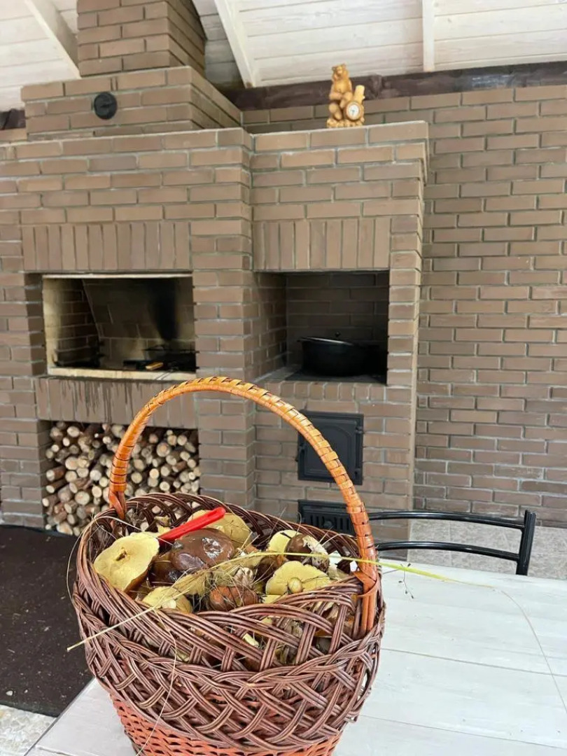 Мелодия леса