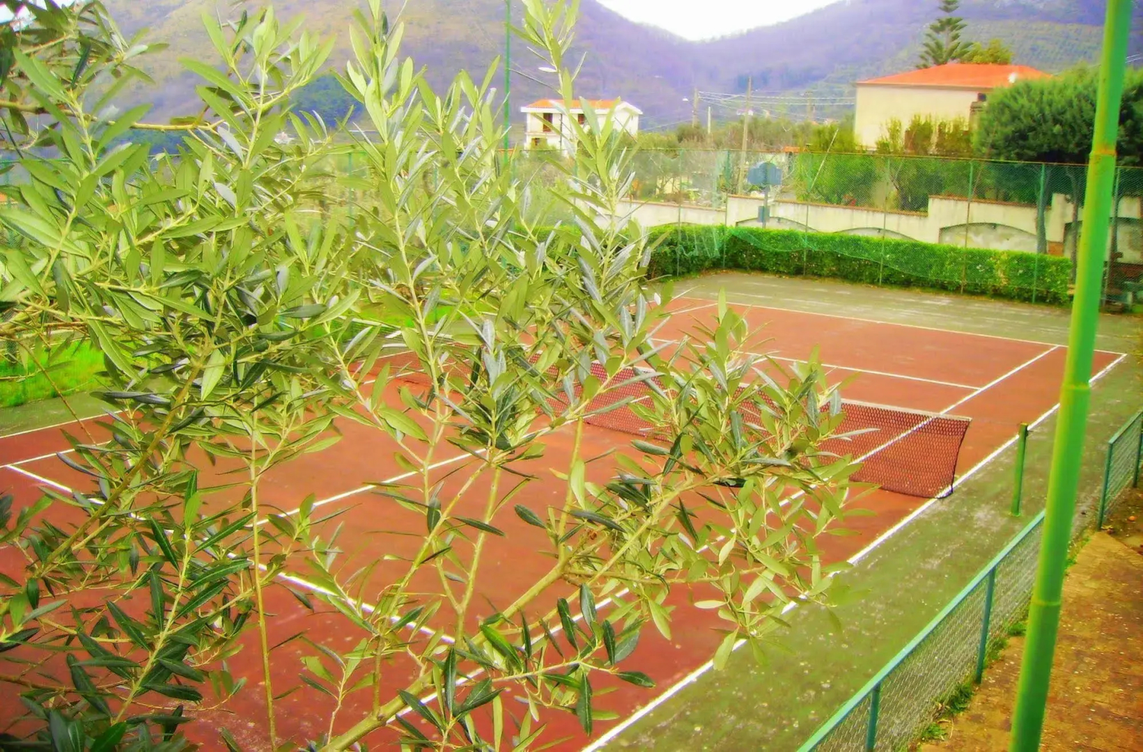 Hotel Diecimare