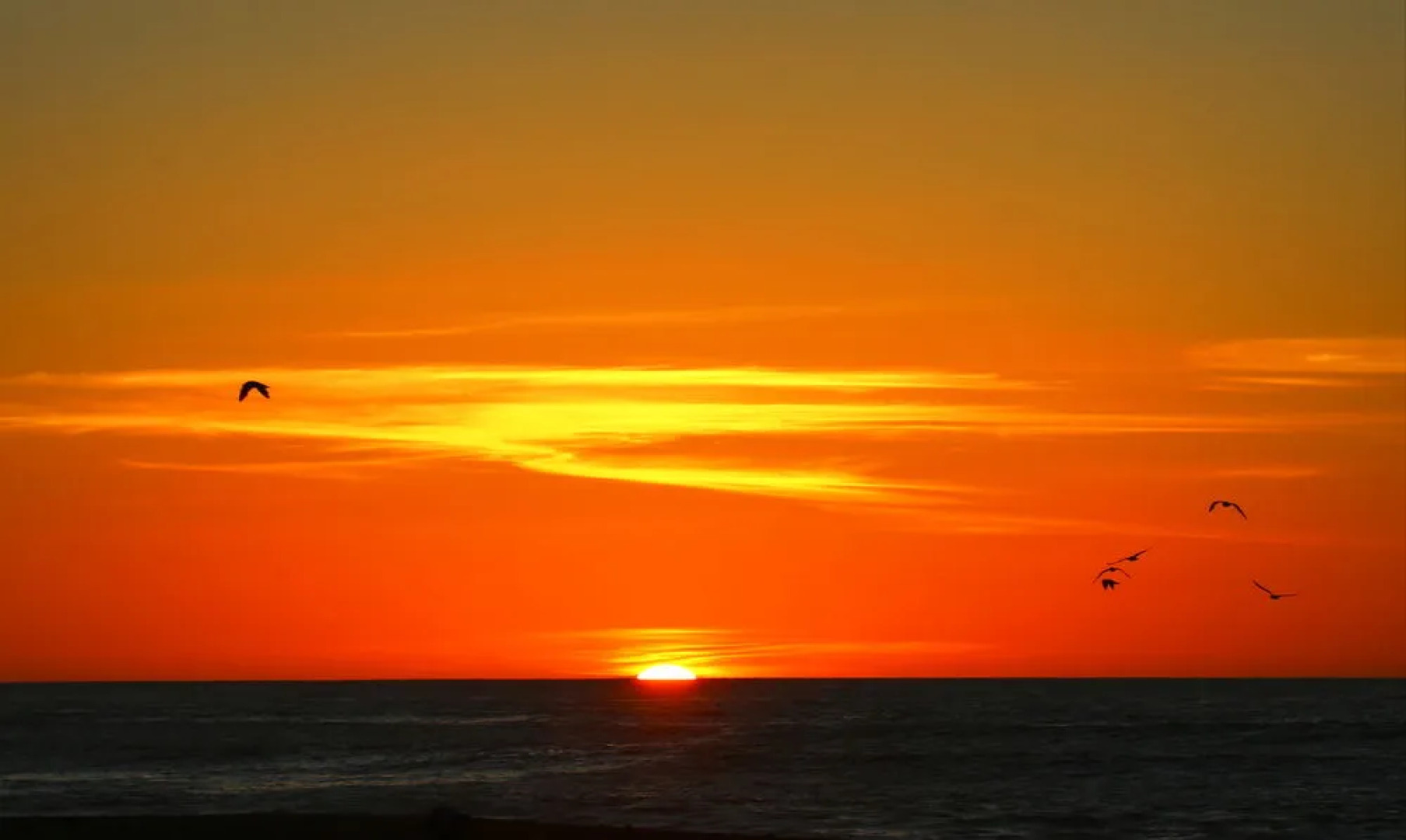 Punakaiki Beach Hostel