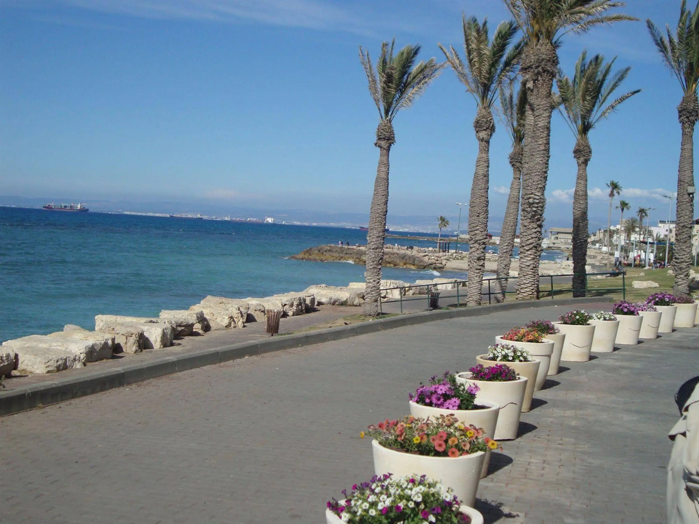 The Sea Plaza Residence