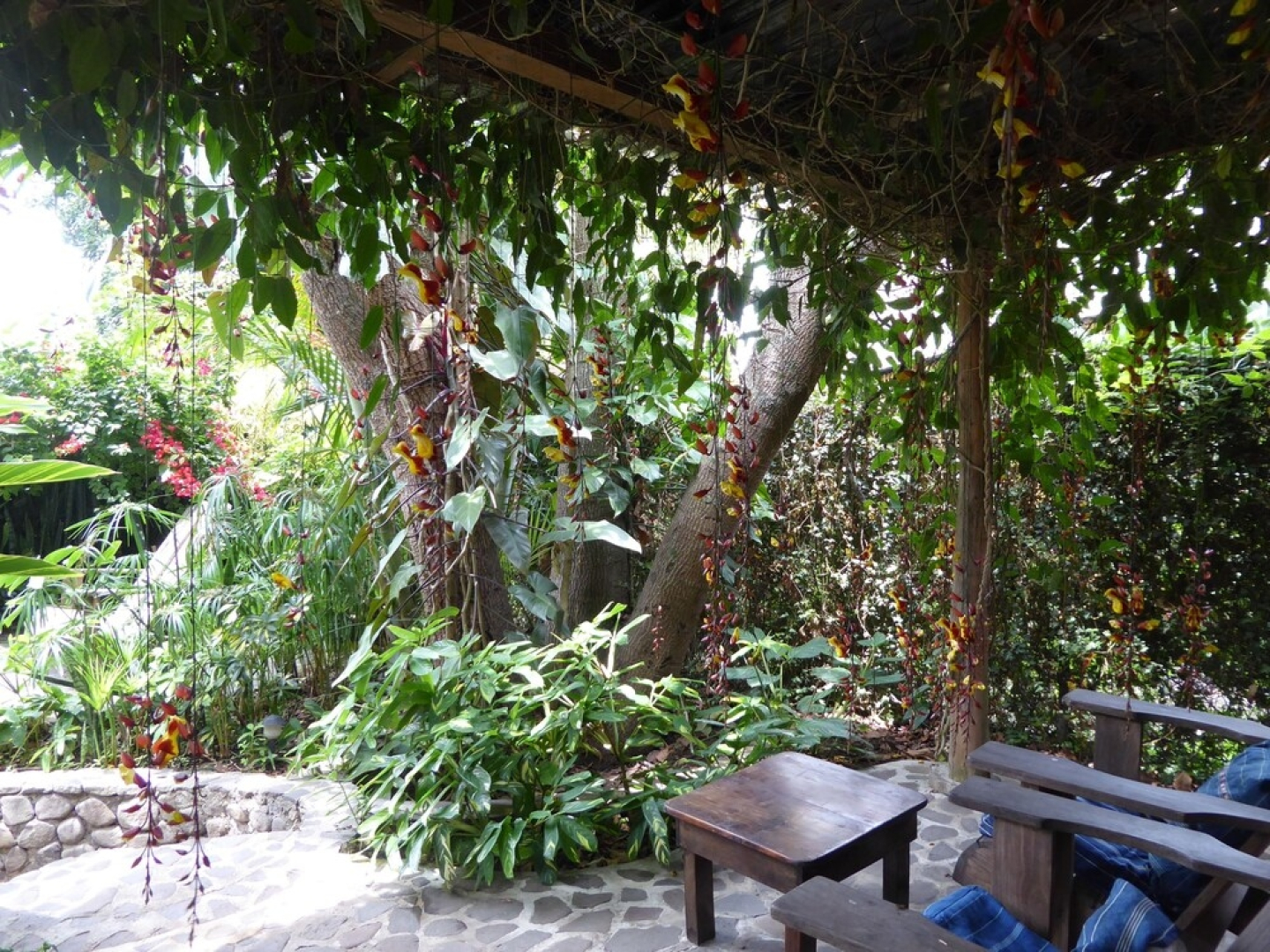 La Iguana Perdida - Hostel