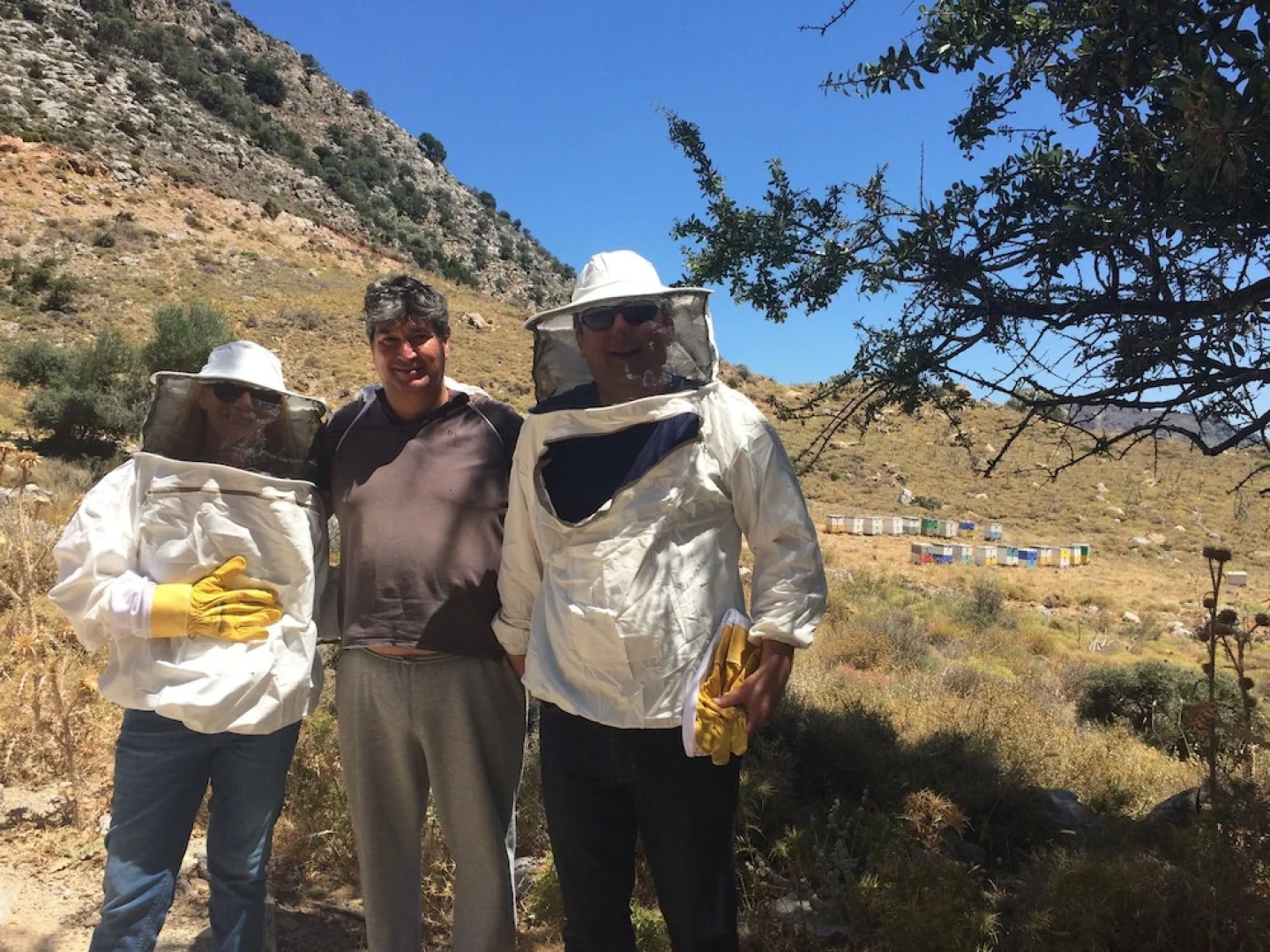 Milatos Village Cretan Agrotourism Hotel