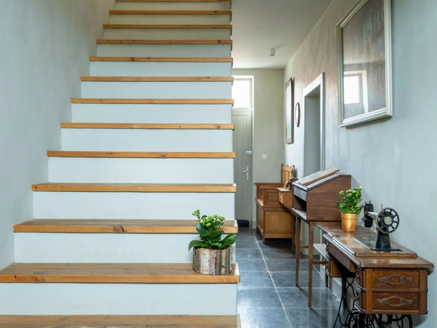 Riding School Farm Stay