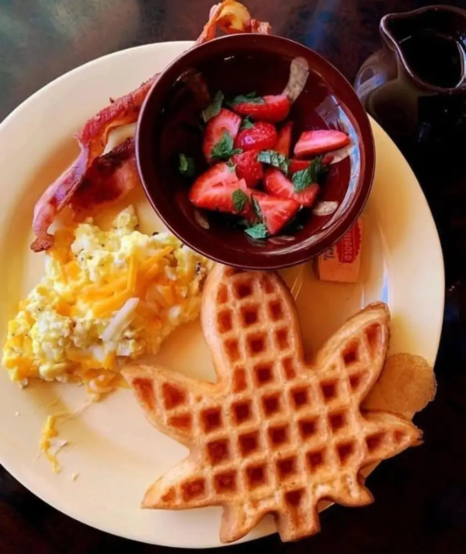 Hicksville Pines Chalets & Motel