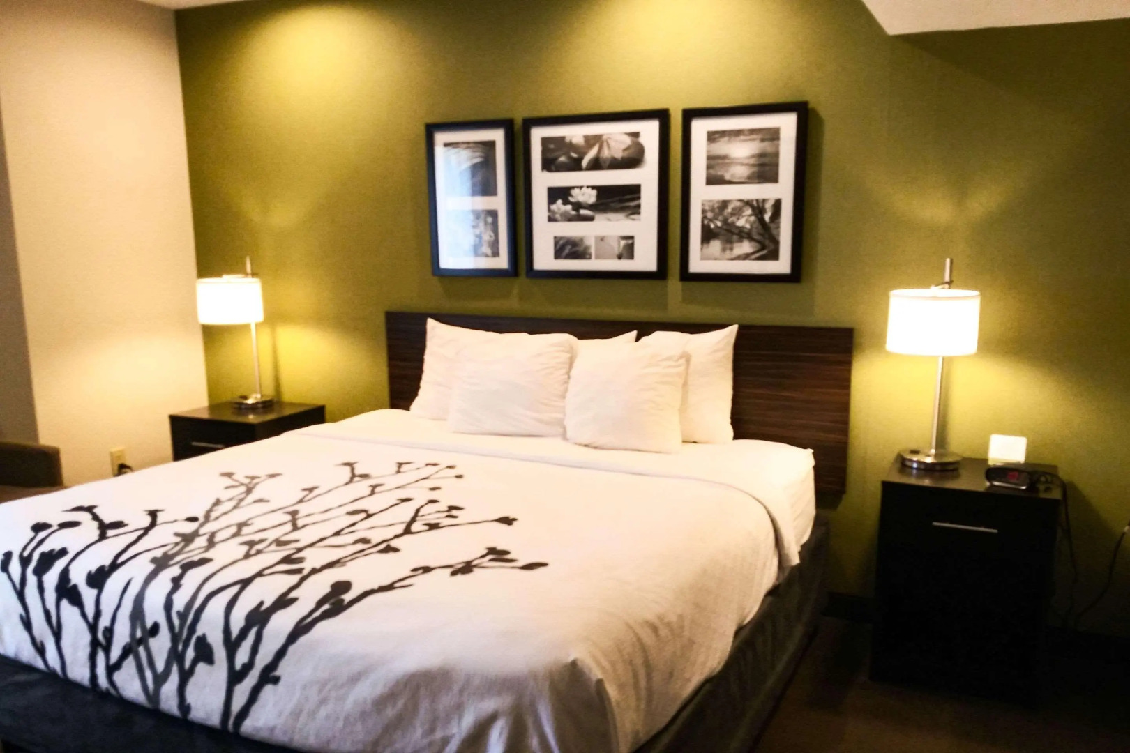 Sleep Inn & Suites Niantic North