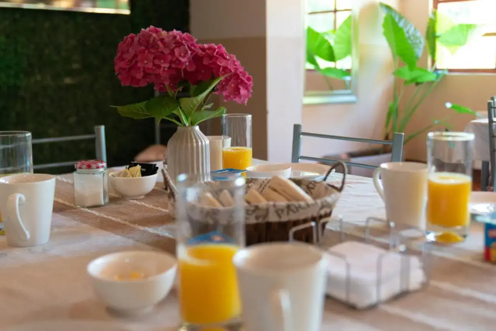 Hotel Santa Maria de Panimavida