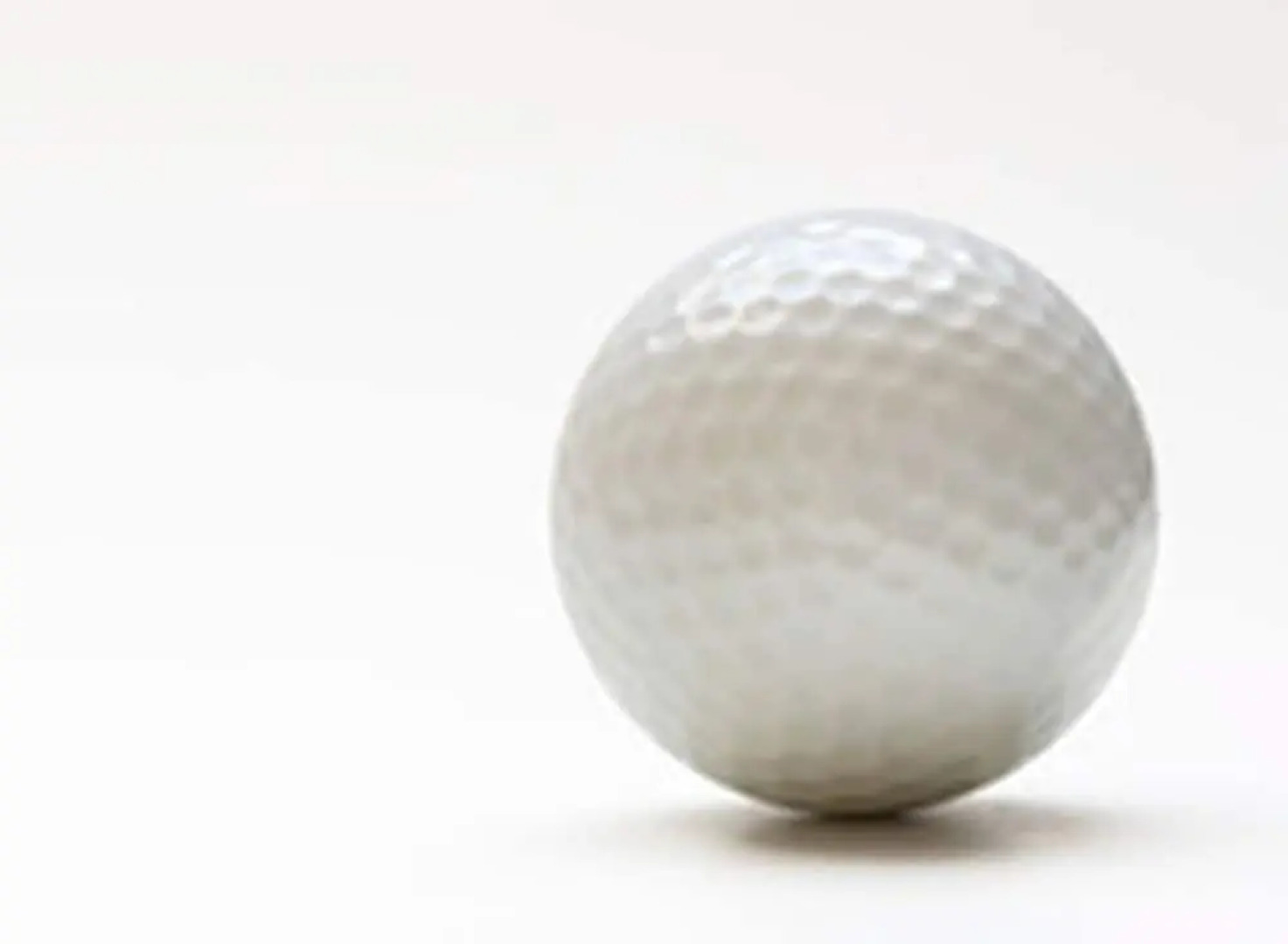 Intercontinental Family Home - North American Mediterranean Vacation Rentals