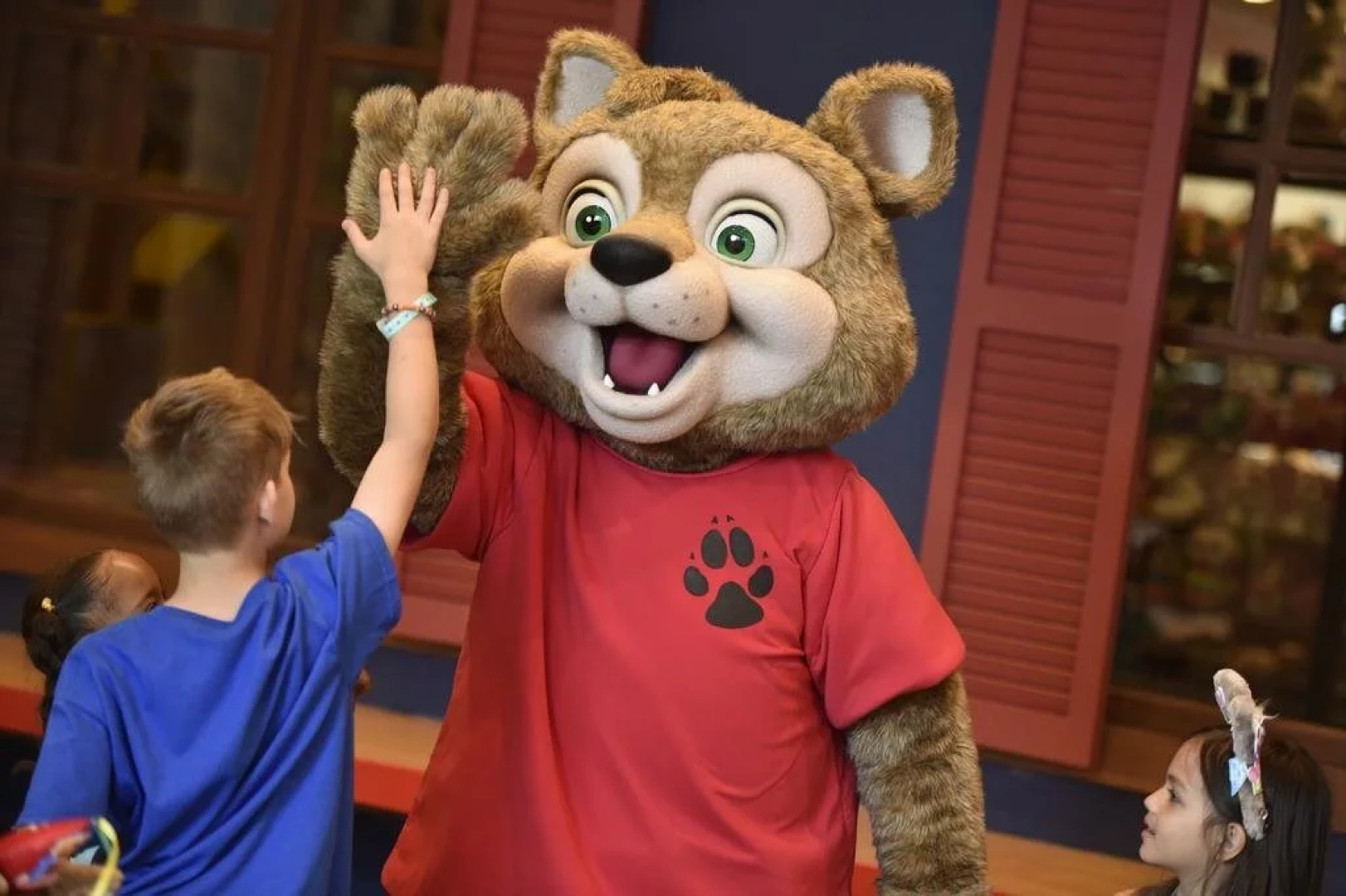 Отель Great Wolf Lodge Bloomington