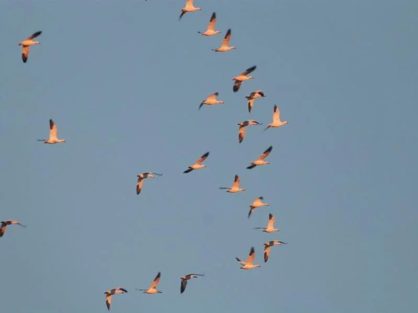 Vieille ï¿½cole du Rang 3