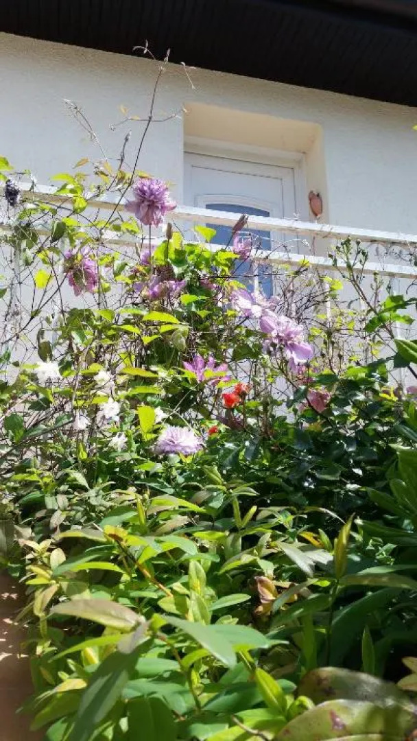 Chambre Avec Jardin Pierre Curie