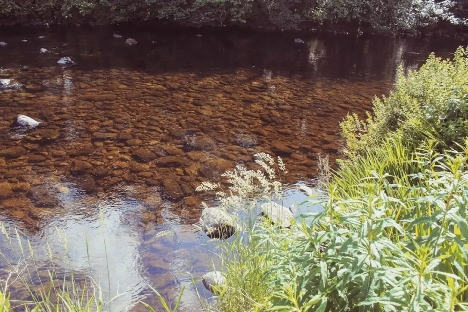 Cottage By The River