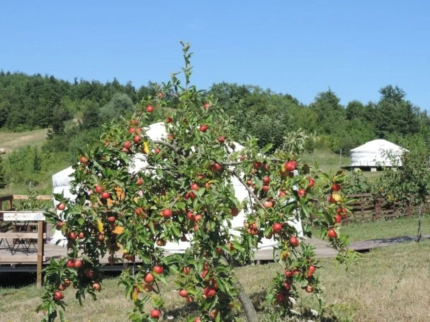 Società Agricola Cacigolara