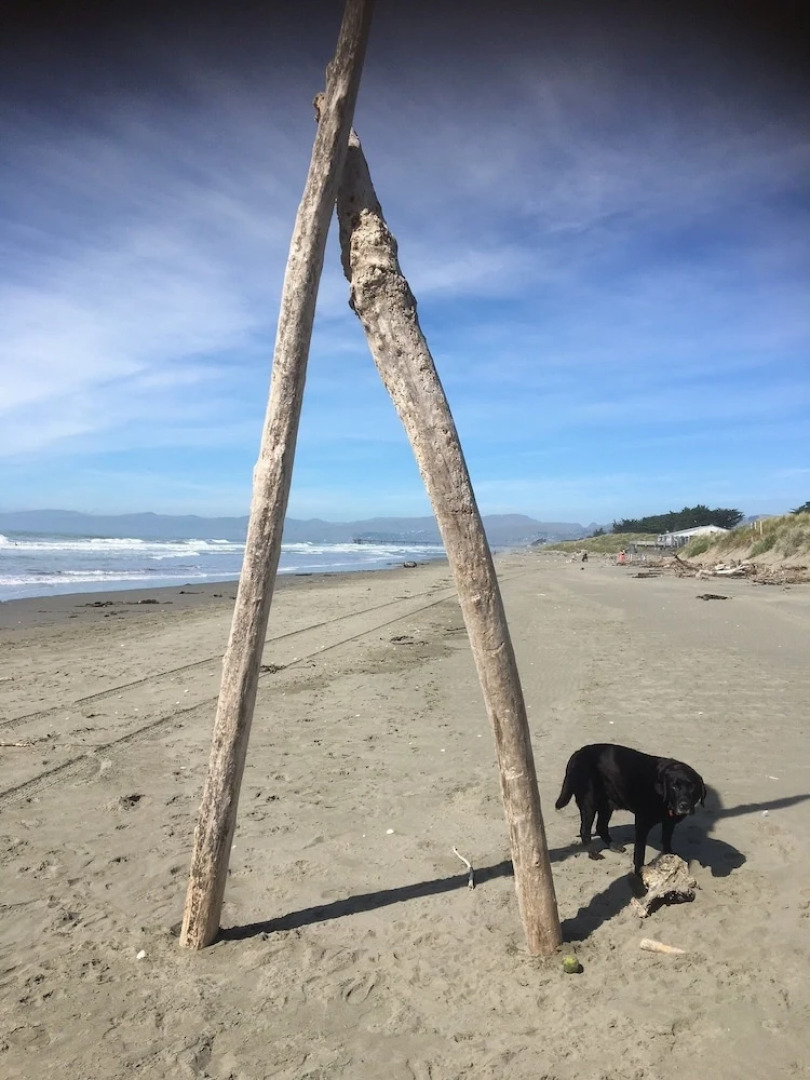 Purple-der House Accommodation