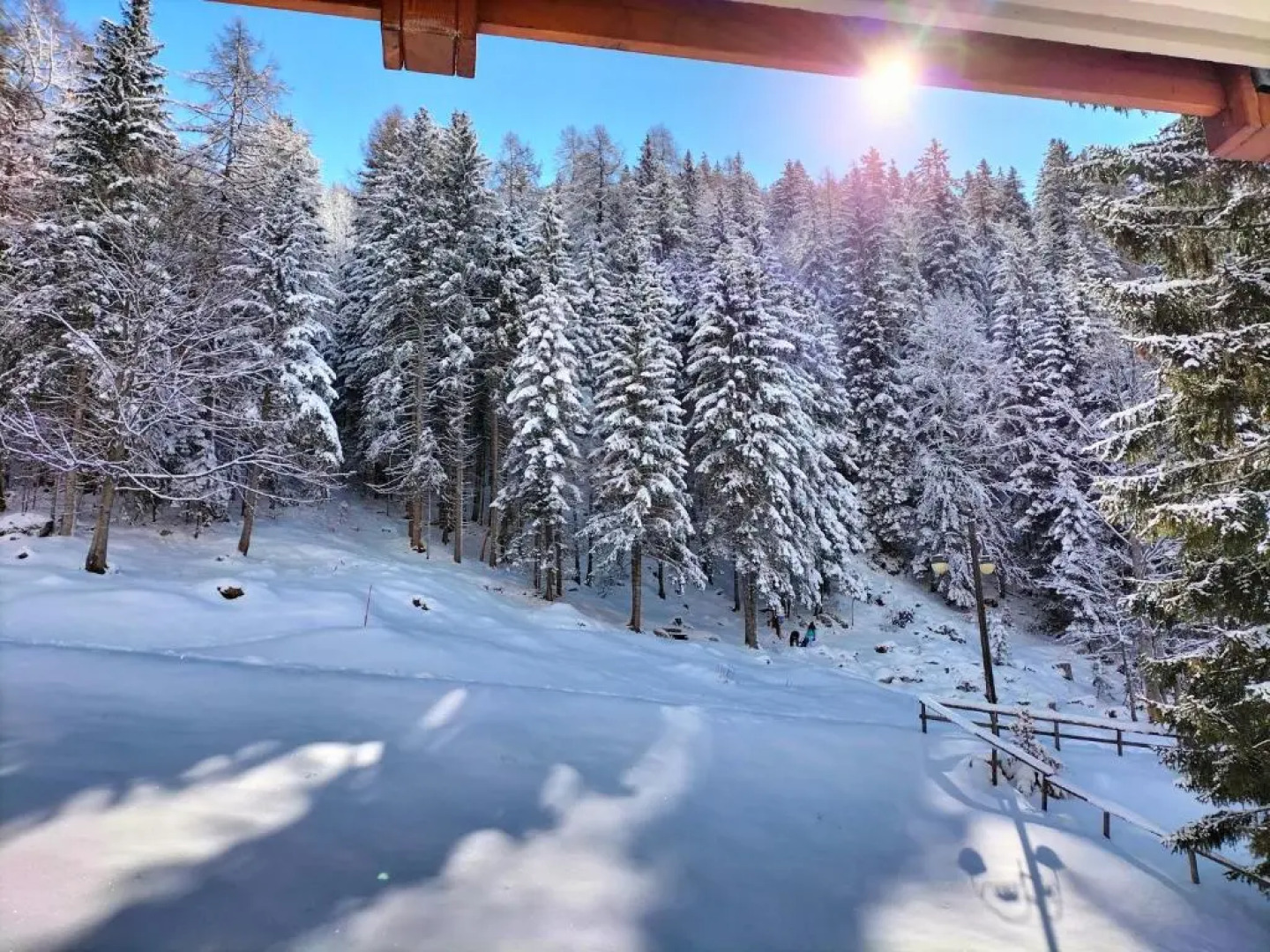 Appartamento Campiglio