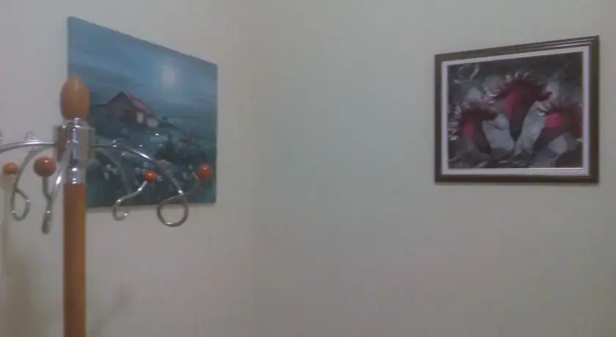 Guest house Vila-Aleksandar