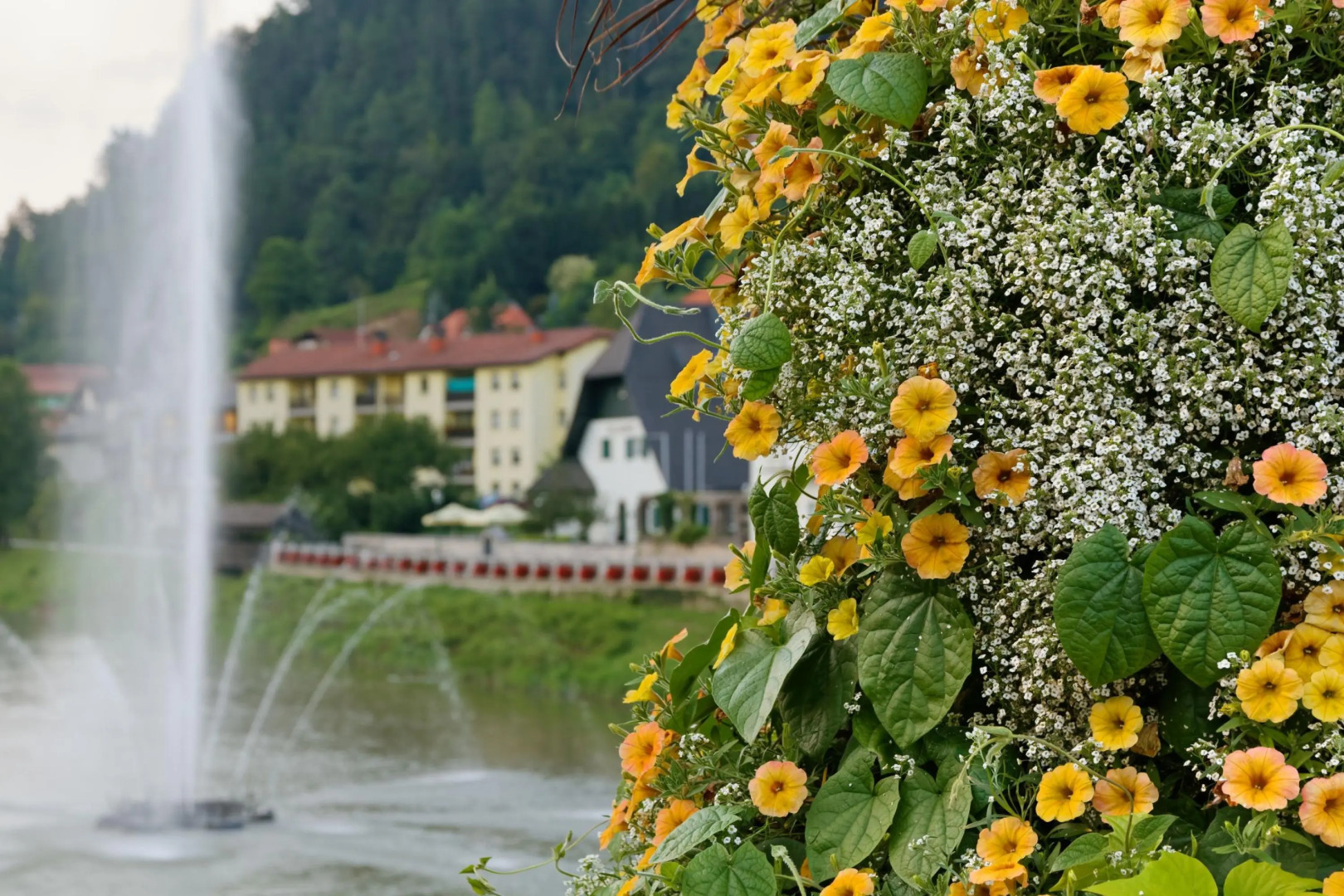 Forester's Hut With Whirlpool & Sauna