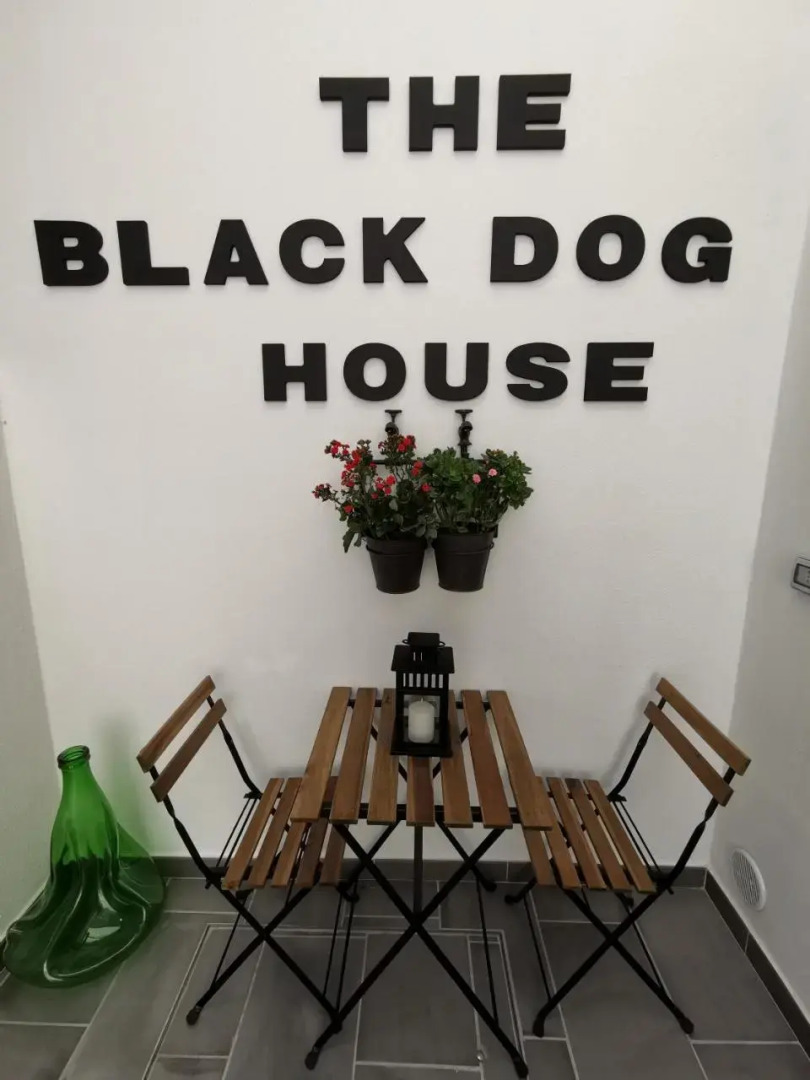The black dog house