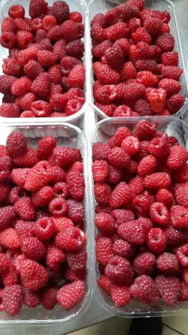 Agriturismo Corte Gaia