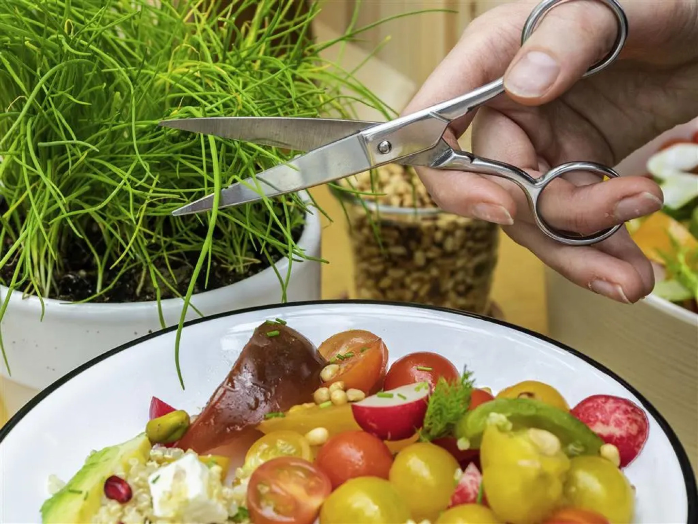 Hotel Mercure Krynica Zdrój Resort&Spa