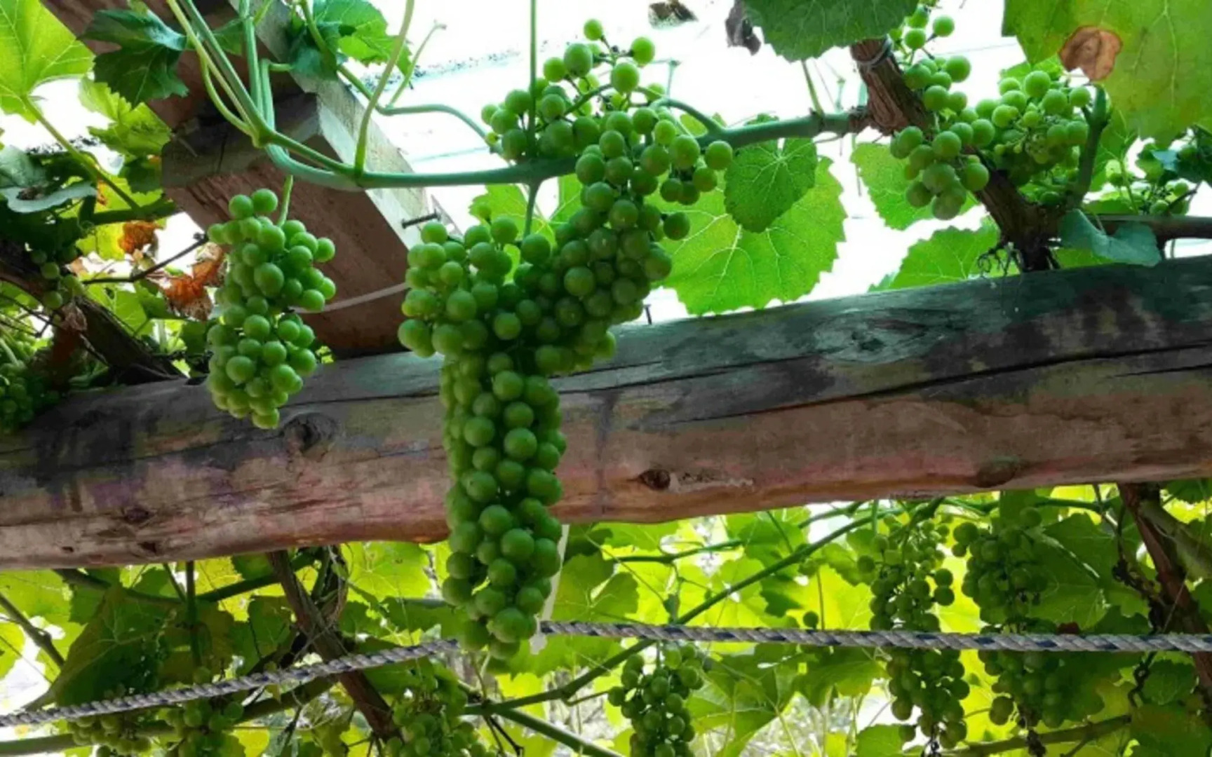 Yangpyeong Arajin Pension