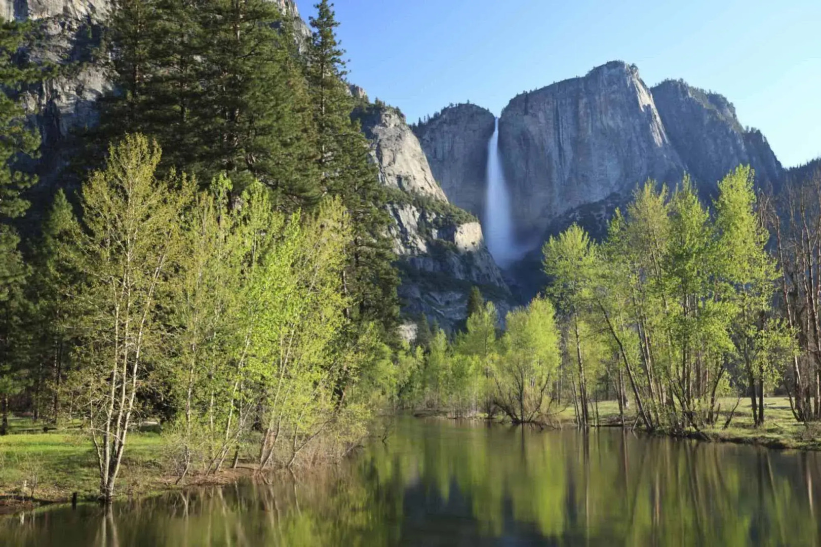 Inside Yosemite Spring Wonderland