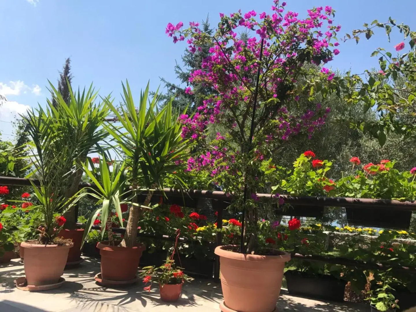 Guest House Sandra Lagadin