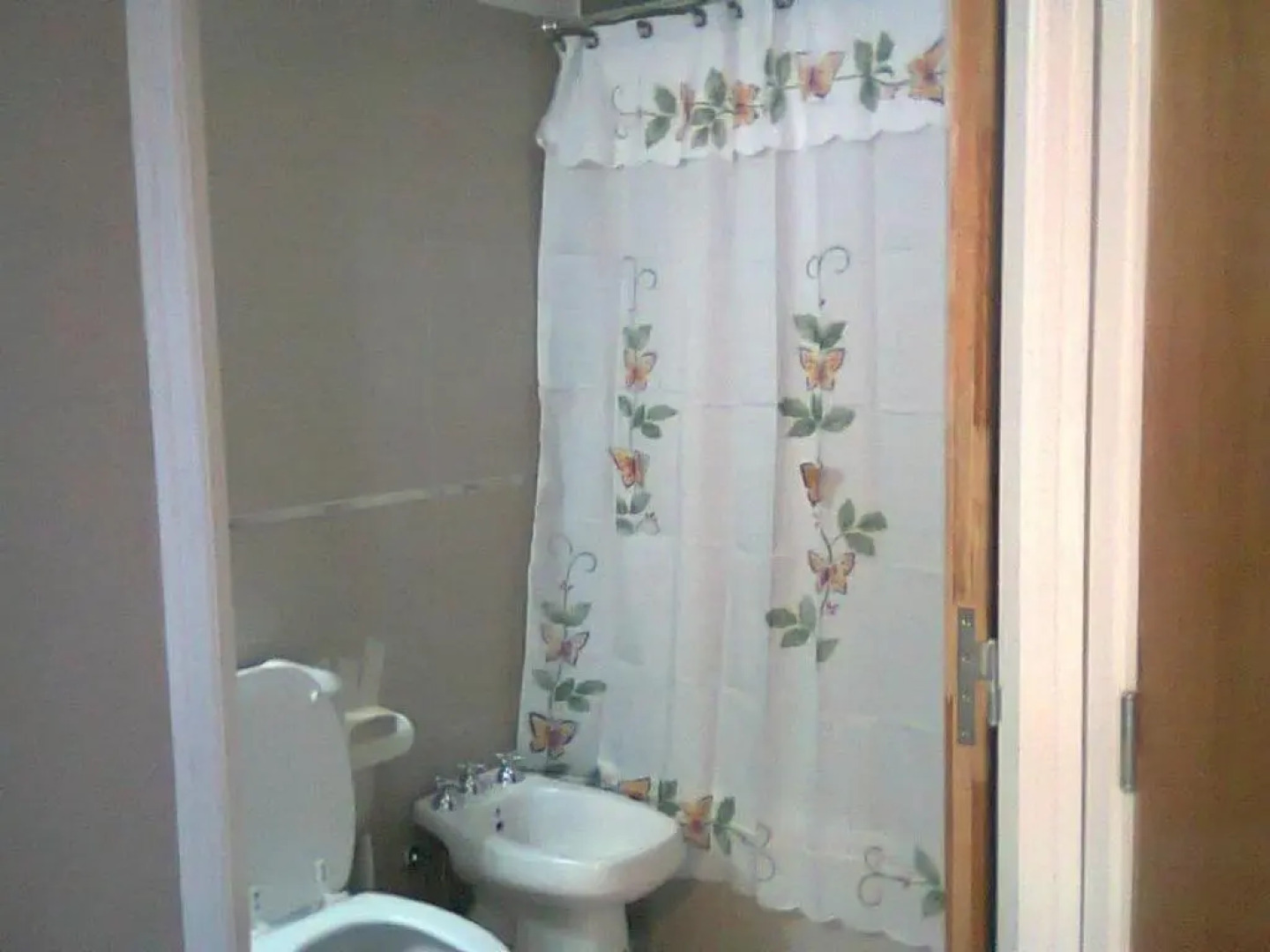 Departamento Huarpes