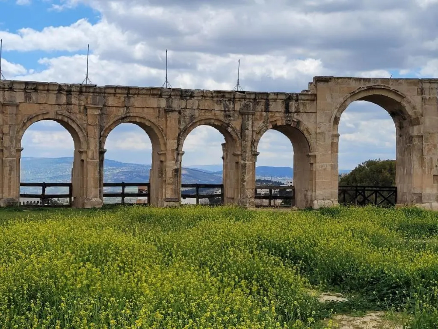 بيت الطبيعة nature house