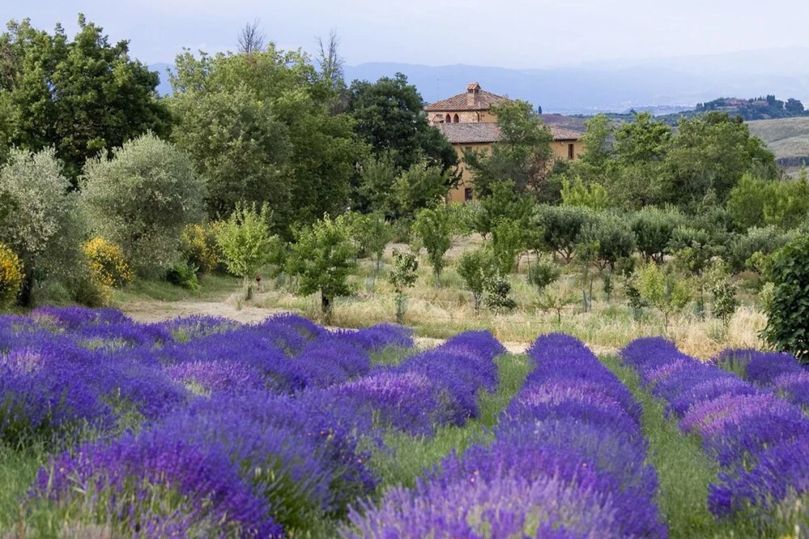Agriturismo Podere Pratovecchio