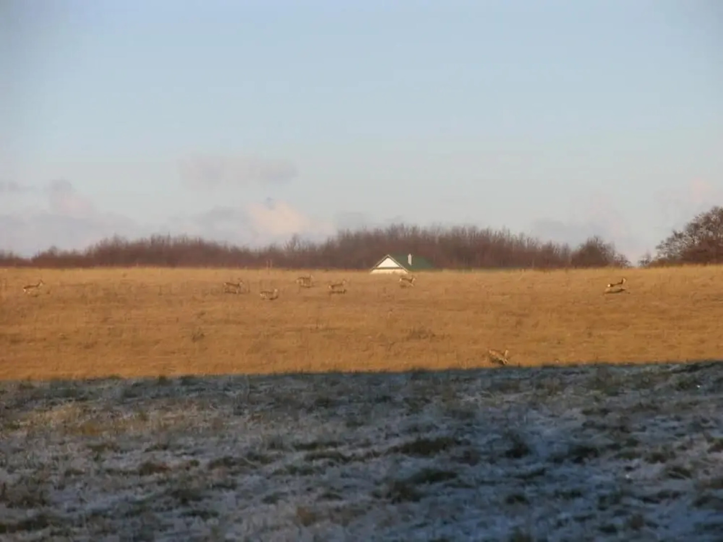 Agroturystyka u przyjaciol Soni