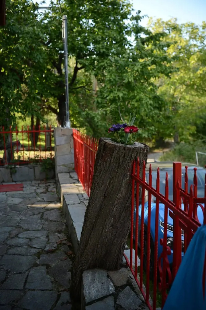 Zeusplace Valentina's House Elatochori