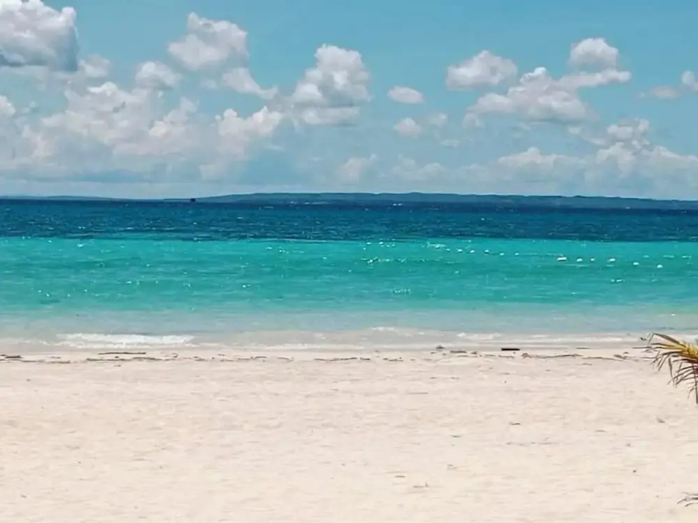 Chef Panyang Beach Resort 2 Okoy