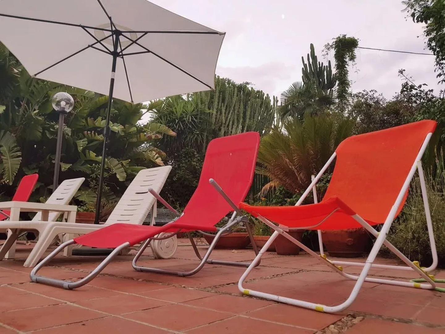 Il Glicine Acitrezza