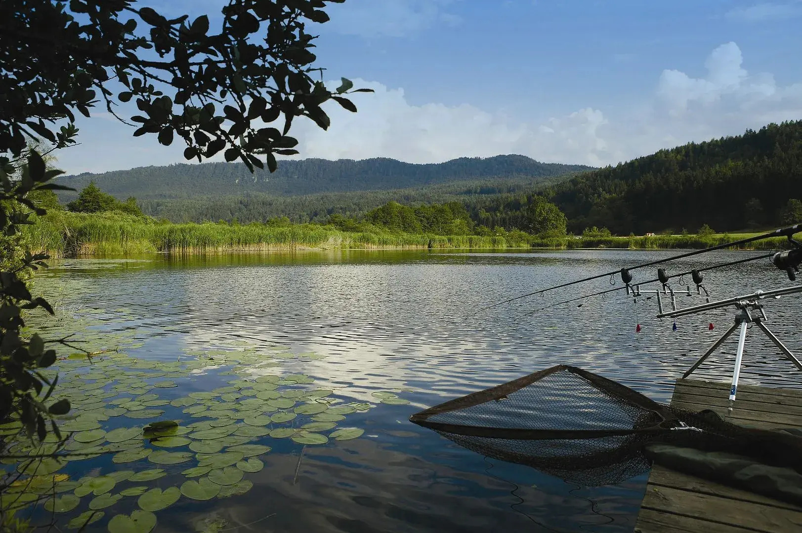 Sonnenhotel Hafnersee