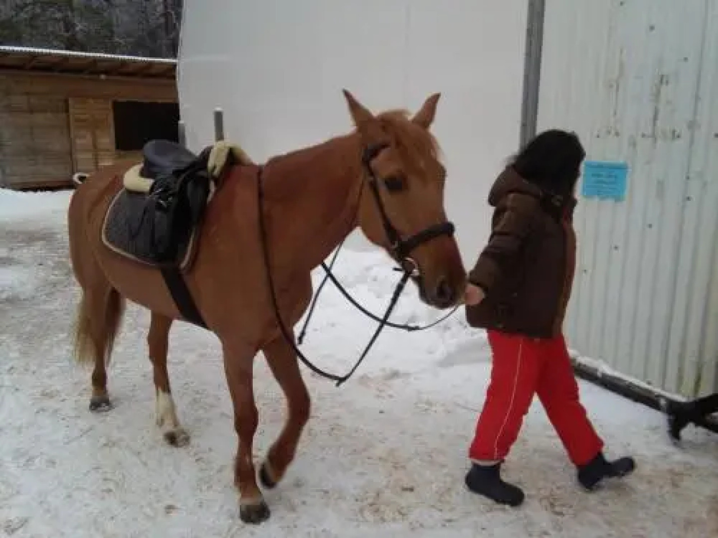 Guest house Dlya Gostey